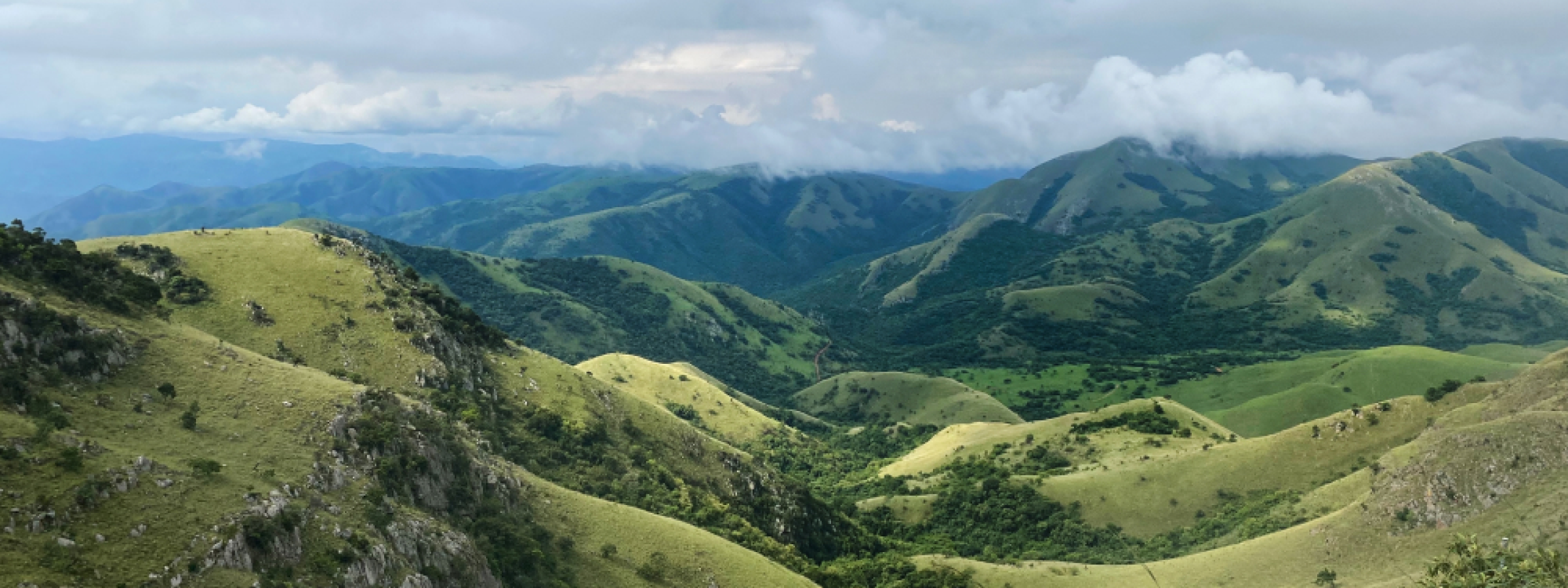 Виноградники и горы ЮАР — панорамный вид